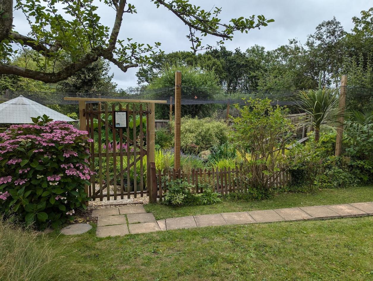'Monktonmead Lodge' In Secluded Setting, With Private Indoor Pool. Ryde  Extérieur photo