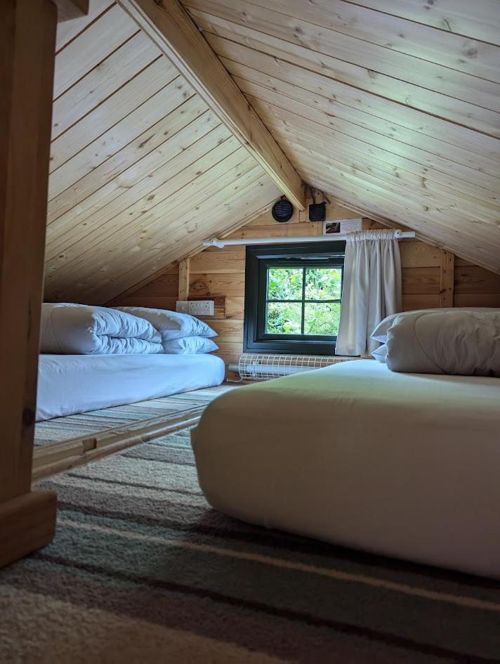 'Monktonmead Lodge' In Secluded Setting, With Private Indoor Pool. Ryde  Extérieur photo